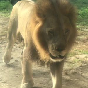 Meet your Posher, Alejandra